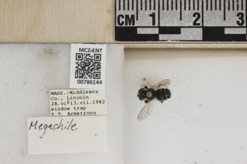 Media type: image;   Entomology 786144 Aspect: Labels